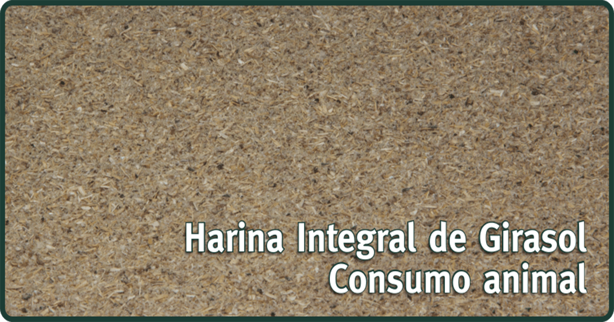HARINA INTEGRAL DE GIRASOL - Agroseller . | Comercialización y  Logistica | Superfoods | Chia | Quinua | Maca | Acái | Sésamo | Arroz |  Café | Porotos | Mungo | Maní | Girasol | Sal rosada |